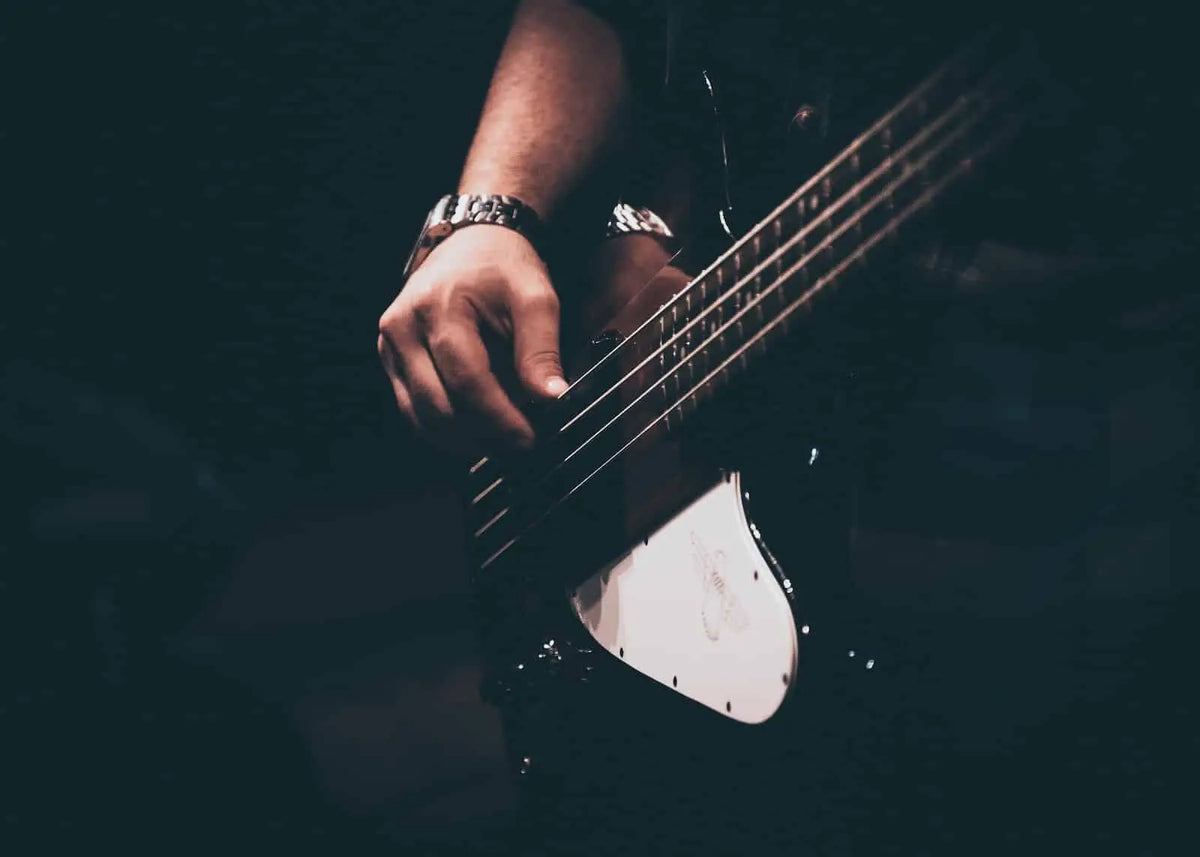 Bass Is Everything…?